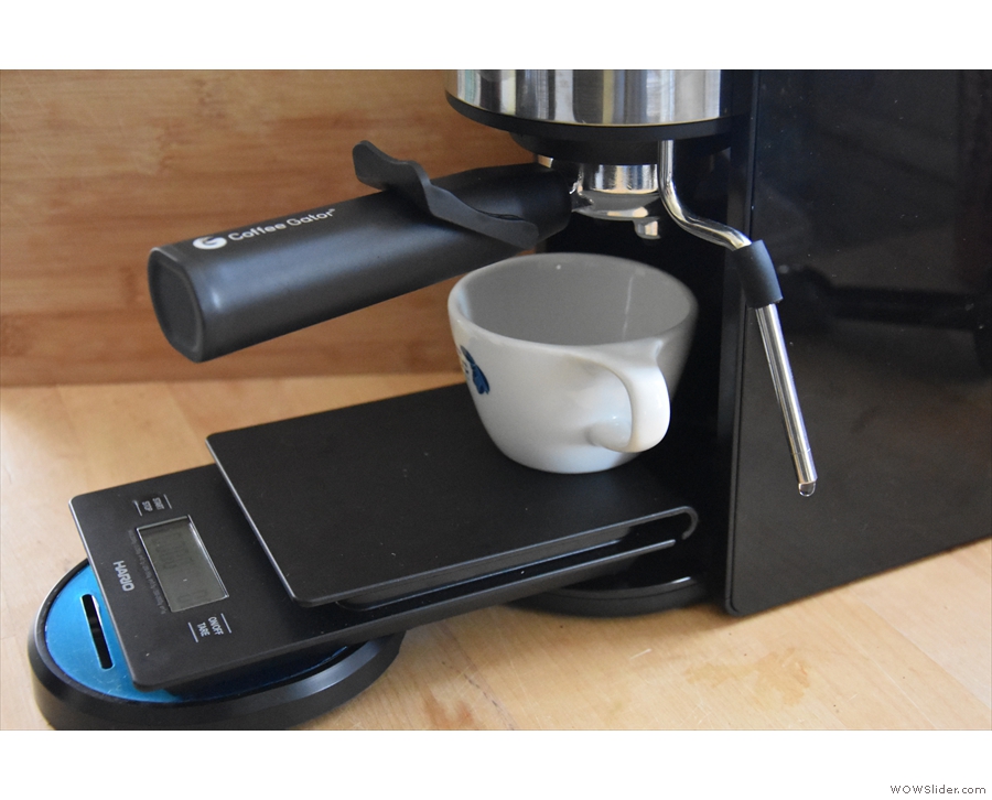 Coffee Gator Espresso Machine Will Make You Feel Like a Barista